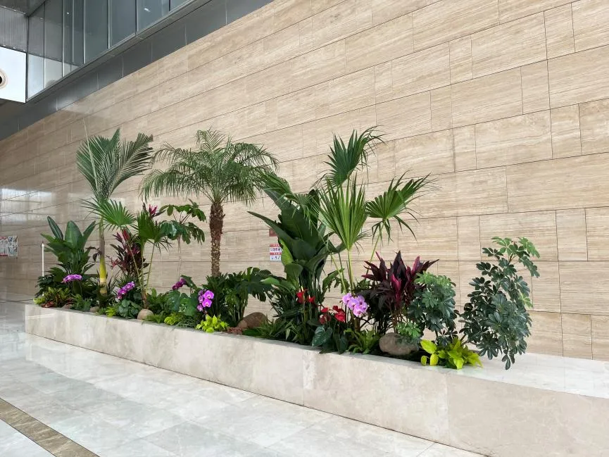 鄞州盆景租赁专业